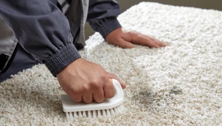 Professional Rug Cleaning Broadmeadows